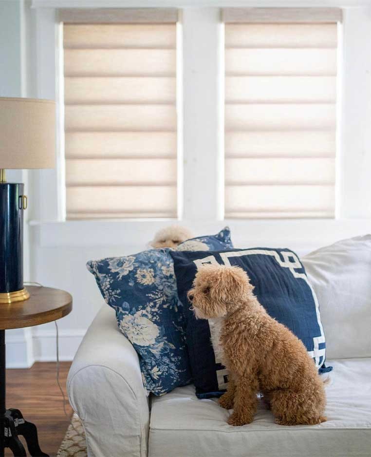 Hunter Douglas Dealer Image